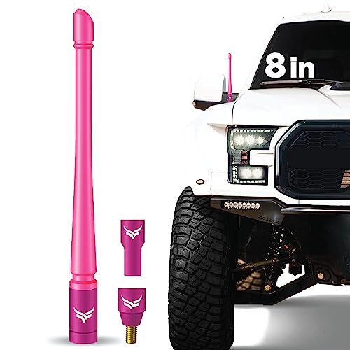 EcoAuto Universal Radio Antenna Topper for Trucks