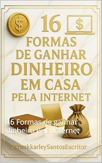 Livro 16 Formas de ganhar dinheiro de dentro de casa: 16 Formas de ganhar dinheiro Pela Internet