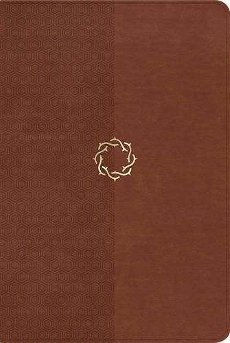 The HCSB Essential Teen Study Bible, Walnut LeatherTouch
