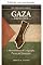 Livro Gaza explicada (Explicado: poder, geografia e restrição)