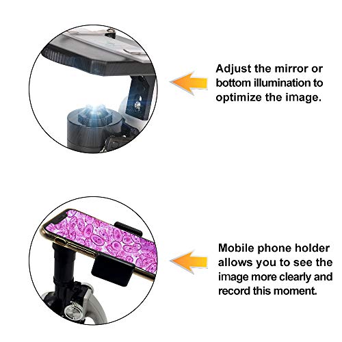 Scientoy kids Microscope with 100X-600X-1200X, 45 pcs Microscope Kit with Large-caliber Eyepiece, 12 Microscope Slides Brine Shrimp Hatchery, Metal Body, LED Light, Phone Holder, Best Science Experime