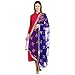 Dupatta Bazaar Indian Phulkari Embroidered Chiffon Dupatta Stole for Women/ Designer Ethnic Lace Border Scarf Shawl/Chunni,Blue