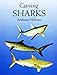 Carving Sharks by