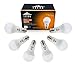Leson 100 Watt Equivalent A19 Globe LED Light Bulb Standard E26/E27 Base 13W Energy Saving, Soft/Warm White 2700K (6 Pack)