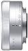 Panasonic Standard Zoom Lens for Micro Four Thirds Lumix G Vario 12-32mm/F3.5-5.6 ASPH./MEGA O.I.S. Silver H-FS12032-S