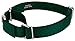 Country Brook Petz Martingale Dog Collar - Heavy-Duty Training Collar with No Buckle - Service Dog Collar for All Pups - Vibrant, Colorful Collection (Green, 1 Inch, Medium)