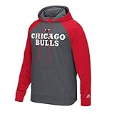 NBA Chicago Bulls Men's Tip-Off Pullover Hoodie, Medium, Gray