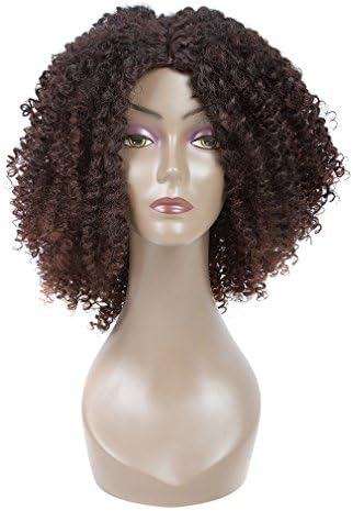 LMY Short Afro Kinky Curly Synthetic Wigs For Black Women Natural Hair Wigs With Bangs Cosplay Hair Cut (ombre brown)