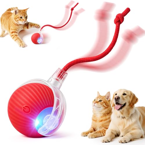 SilveWillo Interactive Rolling Ball