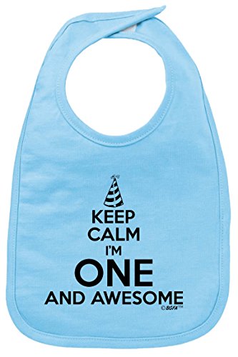 Birthday Gifts for One Year Old Boy: Amazon.com