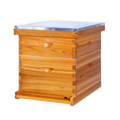 Honey Lake 10-Frame Langstroth Beehive