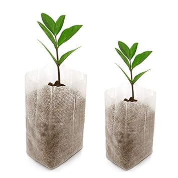 200 Stück Pflanzsack Pflanzbeutel aus Vliesstoff Pflanz Taschen Biologisch Abbaubar (14 x 16 cm + 10 x 12 cm)