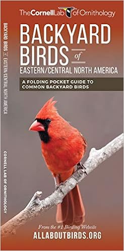 Backyard Birds Of Eastern Central North America A Folding Pocket