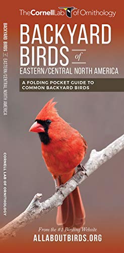 Backyard Birds of Eastern/Central North America: A Folding Pocket Guide to Common Backyard Birds (All About Birds)