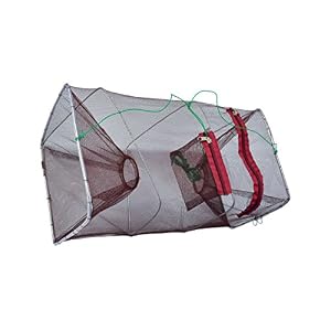 Nasse Water Queen Pliante Rectangulaire 40 X 40 X 80 Cm