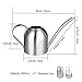 IMEEA Small Watering Can for Indoor Plants Stainless Steel Bonsai Watering can Mini Metal (15oz/450ml)