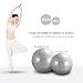 Sportneer Excercise Ball Anti-burst Dual-sided Balance Yoga Ball with Pump, Massage Ball, Workout Guide and Carrying Bag, Silver, 65cm