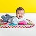 Bright Starts Charming Chirps Activity Gym and Play Mat with Take-Along Toys, Ages Newborn +, Pretty in Pink