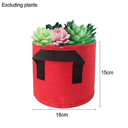 Hankyky 1/2/5 Gallon Plant Grow Bags – Heavy Duty Thichkened Non-Woven Aeration Fabric Pots with Strap Handles Thicken Succulent Plants Container Outdoor Colorful Garden Supplies