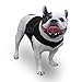 Front Dog Vest Harness | No Pull Harness | Designed for Small Dogs with Broad Chests | Compatible with Dog Wheelchair