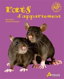Les  rats d'appartement
