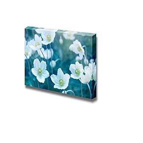 Closeup of White Wild Flowers Wall Decor