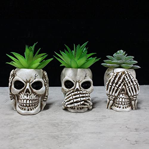 Photo 1 of Simcat Succulent Pots with Drainage Mini Creative Skull Decor Resin Flower Pot 3 Cactus Planter Pots Succulent Plant Pots + Removable Drainage Stopper for Home Office Desktop Windowsill Décor