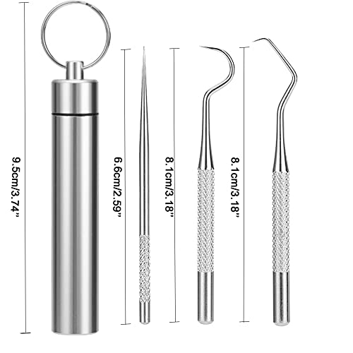 Dental Teeth Pick Stainless Steel Toothpick Set Reusable Tooth Stains Remover Dental Tool Teeth Cleaning Tools with Holder for Outdoor Picnic, Camping, Travel (3PCS/Set,)