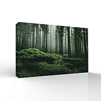 signwin-Canvas Wall Art-Sunshine in The Forest -Canvas Prints Home Artwork Decoration for Living Room,Bedroom - 12x18 inches