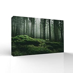 Canvas Wall Art-Sunshine in The Forest -Canvas Prints Home Artwork Decoration for Living Room,Bedroom - 12x18 inches