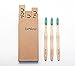 Bamboo Toothbrush 3 Pack - Suistainably Grown in Recycled Biodegradable Packaging