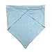 BINGPET Dog Birthday Bandana Pet Scarf Blue