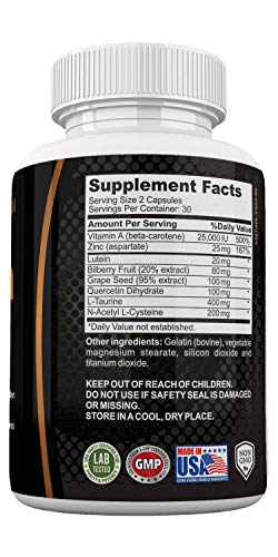 Vision Support Eye Health Supplements with Quercetin Dihydrate 100mg - Essential Eye Vitamins, Lutein 20mg & Bilberry Extract for Eye Care - Vision Supplements - 60 Vegetable Capsules by Neonutrix