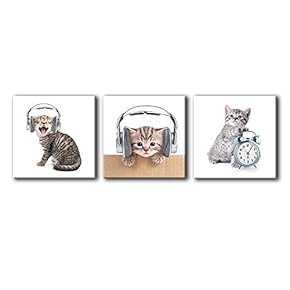 Funny Animals Home Artwork for Living Room Bedroom x3 Panels