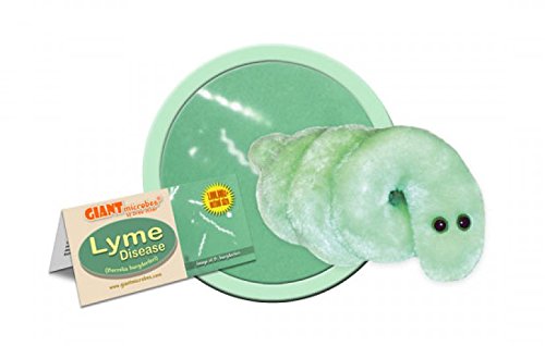 Giant microbes 5"-7" lyme disease borrelia bu…