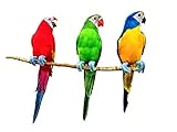 All Seas Imports (3) Handcrafted Ultra Lightweight Parrots with Real Feathers/Bendable FEET!