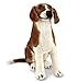 Beagle - Plush