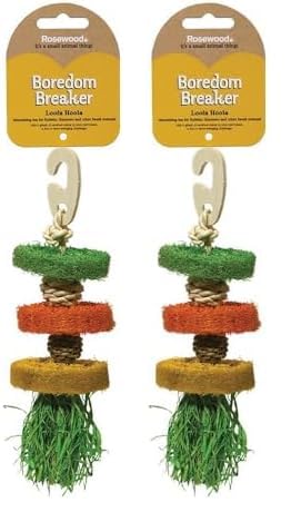 Rosewood Boredom Breaker Loofa Hoola, Rabbit Toy & Toy for Small Animals (Pack of 2)