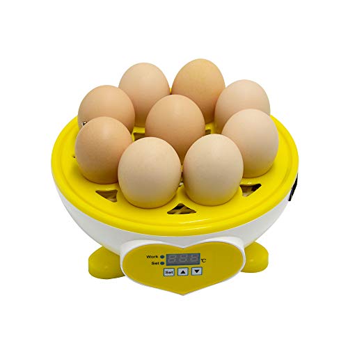 ConPush 9 Eier Mini Eierbrutkasten Brutmaschine Vollautomatisch Hühner Eier Brutgerät Brutapparat Eier Inkubator für… – Bild 5