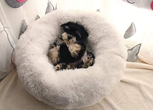 WonderKathy Modern Soft Plush Round Pet Bed for Cats or Small Dogs, Mini Medium Sized Dog Cat Bed Self Warming Autumn Winter Indoor Snooze Sleeping Cozy Kitty Teddy Kennel (S(19.7"Dx7.9"H), White) - Thumbnail 4