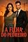 Livro A FILHA DO PEDREIRO: Humor e Muito Romance