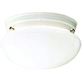 Kichler Ceiling Space 9" 2 Light Flush Mount with White Globe in White