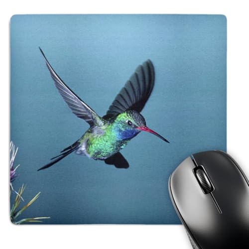 3dRose LLC 8 x 8 x 0.25 Broad-Billed Hummingbird Southern Arizona David Northco…