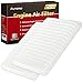 EAF171 2 Pack Engine Air Filter for Toyota