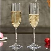 Shop Human Tritan Champagne Flutes Set of 6 (6oz), Unbreakable Plastic Champagne Glasses, Wedding Champagne Flutes