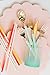 Sugar & Cloth Mint and Gold Plastic Disposable Flatware Set, 36-Piece, Service for 12