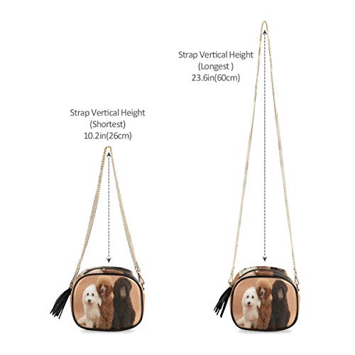 Three-Cute-Dogs-Women-Chain-Messenger-Bag-Crossbody-Purses-for-Girl