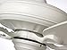 Luminance kathy ireland HOME Carrera Grande Eco Ceiling Fan Fixture with 6-Speed Wall Control and Downrod | Energy Star Rated Motor | Light Kit Adaptable and Blades Sold Separately, Satin White, 37 to 45 Inches, 46 to 50 Inches, 51 to 55 Inches,56 to 65 Inches , 66 Inches & Up