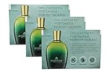 Argan Moroccan Oil Hair Treatment – Intensive Repair for Dry Damaged Hair – Prevents Brittleness – Arganesse is Fitness for Your Hair – Leaves Hair Shiny & Healthy, Not Frizzy & Oily – Sample 3-Pack