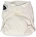 Imagine Baby Products Newborn Stay Dry All-in-One Hook and Loop Cloth Diaper, Snow